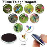 10pcs/lot  Hummingbird  glass picture printing products of various sizes  Fridge magnet cabochon