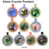10pcs/lot  Hummingbird  glass picture printing products of various sizes  Fridge magnet cabochon