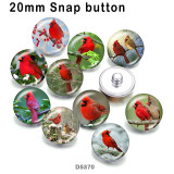 10pcs/lot  bird  glass picture printing products of various sizes  Fridge magnet cabochon