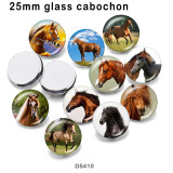 10pcs/lot  Horse  glass picture printing products of various sizes  Fridge magnet cabochon
