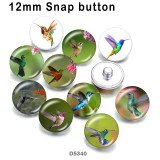10pcs/lot  Hummingbird  glass picture printing products of various sizes  Fridge magnet cabochon