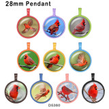 10pcs/lot  bird  glass picture printing products of various sizes  Fridge magnet cabochon