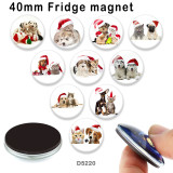 10pcs/lot  Cat Dog  glass picture printing products of various sizes  Fridge magnet cabochon