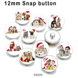 10pcs/lot  Cat Dog  glass picture printing products of various sizes  Fridge magnet cabochon