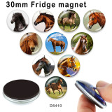 10pcs/lot  Horse  glass picture printing products of various sizes  Fridge magnet cabochon