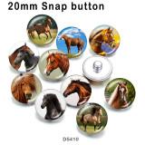 10pcs/lot  Horse  glass picture printing products of various sizes  Fridge magnet cabochon