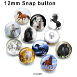 10pcs/lot  Horse  glass picture printing products of various sizes  Fridge magnet cabochon