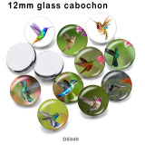 10pcs/lot  Hummingbird  glass picture printing products of various sizes  Fridge magnet cabochon