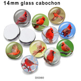 10pcs/lot  bird  glass picture printing products of various sizes  Fridge magnet cabochon