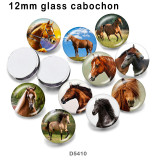 10pcs/lot  Horse  glass picture printing products of various sizes  Fridge magnet cabochon