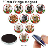 10pcs/lot  Christmas Cat Dog  glass picture printing products of various sizes  Fridge magnet cabochon