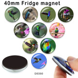 10pcs/lot  Hummingbird  glass picture printing products of various sizes  Fridge magnet cabochon