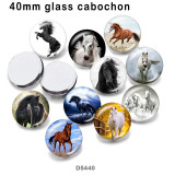 10pcs/lot  Horse  glass picture printing products of various sizes  Fridge magnet cabochon