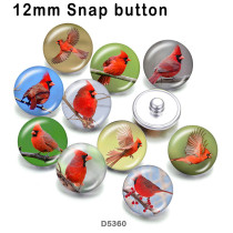 10pcs/lot  bird  glass picture printing products of various sizes  Fridge magnet cabochon