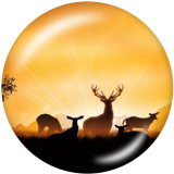 20MM  Deer  Print   glass  snaps buttons