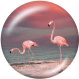 20MM  Flamingo LOVE  Print   glass  snaps buttons Beach