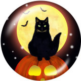 20MM Halloween  Cat  Print   glass  snaps buttons
