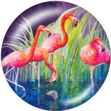 20MM  Flamingo  Print   glass  snaps buttons LOVE