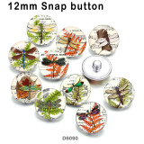 10pcs/lot  Dragonfly  glass picture printing products of various sizes  Fridge magnet cabochon