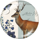 20MM  Deer  Print   glass  snaps buttons