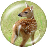 20MM  Deer  Print   glass  snaps buttons