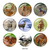 20MM  Deer  Print   glass  snaps buttons