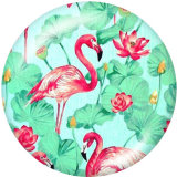20MM  Flamingo  Print   glass  snaps buttons LOVE