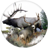 20MM  Deer  Print   glass  snaps buttons