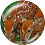 20MM  Deer  Print   glass  snaps buttons