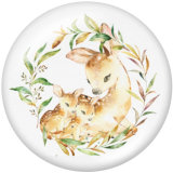 20MM  Deer  Print   glass  snaps buttons