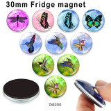10pcs/lot  Hummingbird  glass picture printing products of various sizes  Fridge magnet cabochon