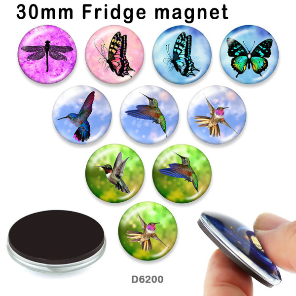 10pcs/lot  Hummingbird  glass picture printing products of various sizes  Fridge magnet cabochon