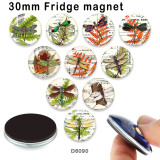 10pcs/lot  Dragonfly  glass picture printing products of various sizes  Fridge magnet cabochon