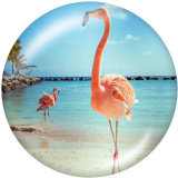 20MM  Flamingo LOVE  Print   glass  snaps buttons Beach