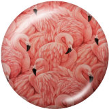 20MM  Flamingo  Print   glass  snaps buttons LOVE