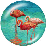 20MM  Flamingo LOVE  Print   glass  snaps buttons Beach