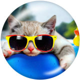 20MM  Beach  Ocean  Print   glass  snaps buttons