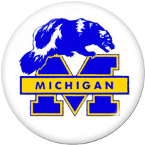 20MM  NCAA School Team  Print   glass  snaps buttons