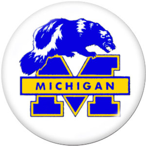20MM  NCAA School Team  Print   glass  snaps buttons