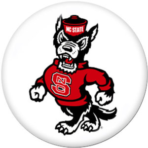 20MM  NCAA School Team  Print   glass  snaps buttons