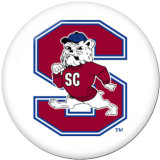 20MM  NCAA School Team  Print   glass  snaps buttons