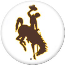 20MM  NCAA School Team  Print   glass  snaps buttons