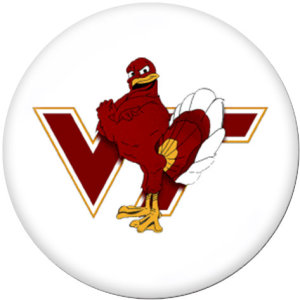20MM  NCAA School Team  Print   glass  snaps buttons