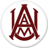 20MM  NCAA School Team  Print   glass  snaps buttons