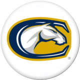 20MM  NCAA School Team  Print  glass  snaps buttons