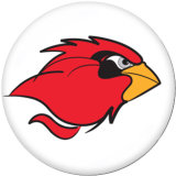 20MM  NCAA School Team  Print   glass  snaps buttons