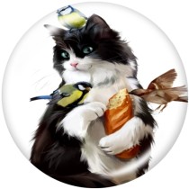 20MM  Cat  Print   glass  snaps buttons