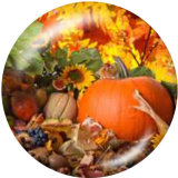20MM  Thanksgiving   Print   glass  snaps buttons