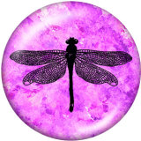 20MM  Hummingbird  Butterfly  Print   glass  snaps buttons