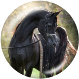 20MM  Horse  Print   glass  snaps buttons